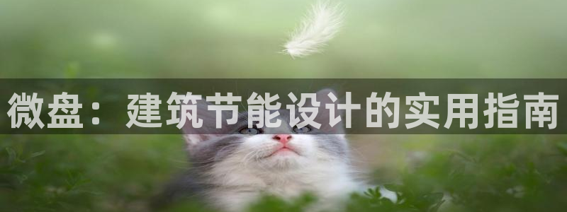 e尊国际娱乐官网地址：微盘：建筑节能设计的实用指南