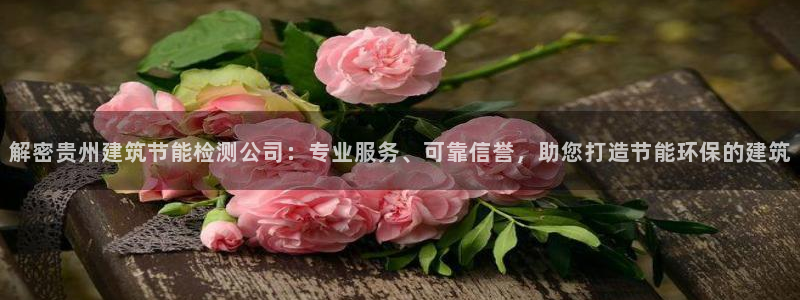 e尊国际地址：解密贵州建筑节能检测公司：专业服务、可靠信誉，助您打造节能环保的建筑