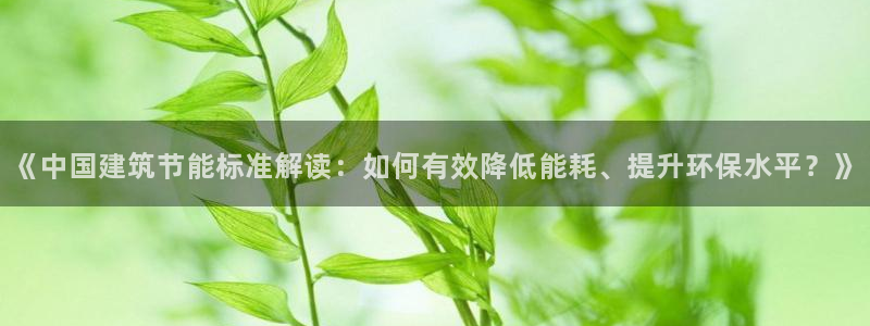 e尊国际地址