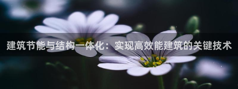 e尊国际官网app：建筑节能与结构一体化：实现高效能建筑的关键技术