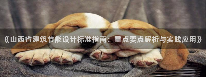 e尊国际网址：《山西省建筑节能设计标准指南：重点要点解析与实践应用》