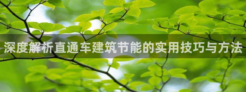e尊国际官网：深度解析直通车建筑节能的实用技巧与方法