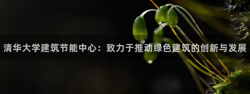 e尊国际娱乐官网下载：清华大学建筑节能中心：致力于推动绿色建筑的创新与发展