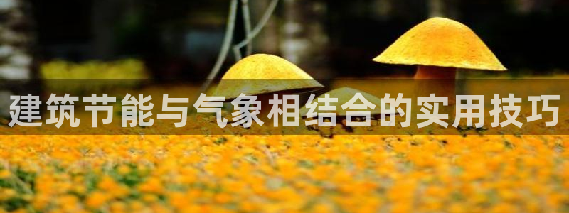 e尊官网：建筑节能与气象相结合的实用技巧