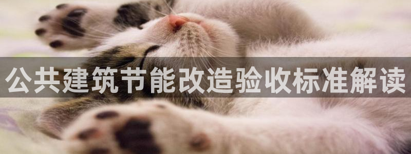 e尊国际是干什么的：公共建筑节能改造验收标准解读