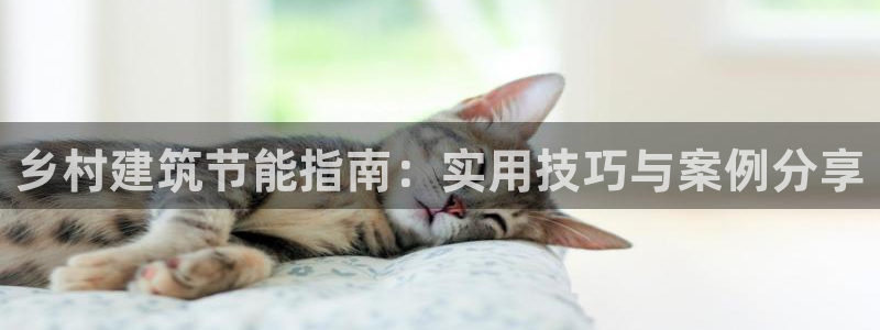 谁知道e尊国际的网址