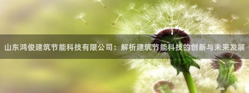 e尊国际网址：山东鸿俊建筑节能科技有限公司：解析建筑节能科技的创新与未来发展