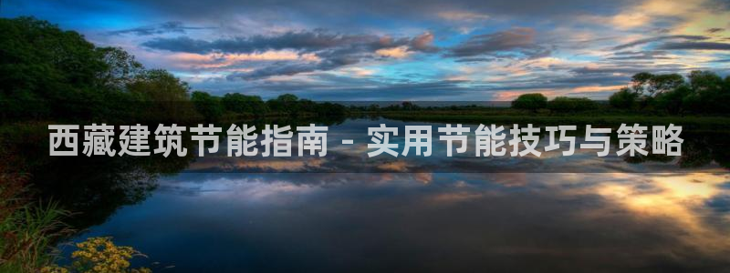 e尊国际地址