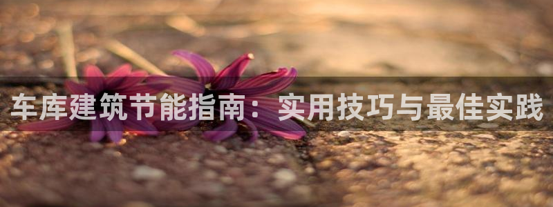 e尊国际客户端下载：车库建筑节能指南：实用技巧与最佳实践