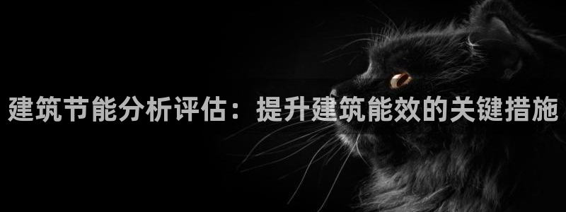 e尊国际网址：建筑节能分析评估：提升建筑能效的关键措施