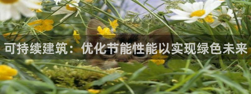 e尊国际客户端：可持续建筑：优化节能性能以实现绿色未来