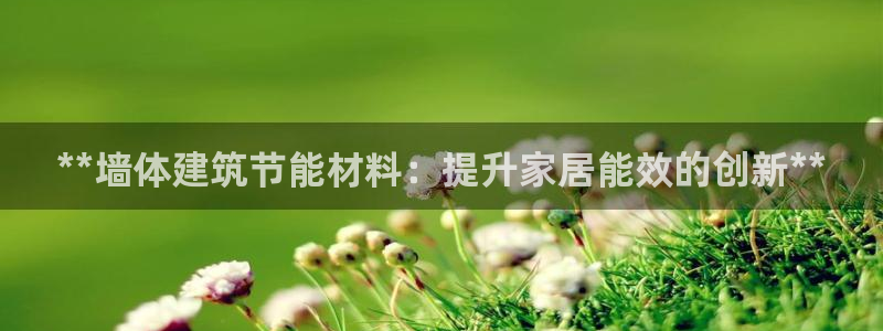 e尊国际客服：**墙体建筑节能材料：提升家居能效的创新**