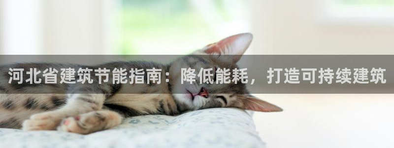 e尊国际平台：河北省建筑节能指南：降低能耗，打造可持续建筑
