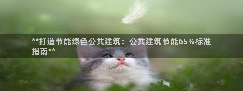 e尊平台：**打造节能绿色公共建筑：公共建筑节能65%标准
指南**