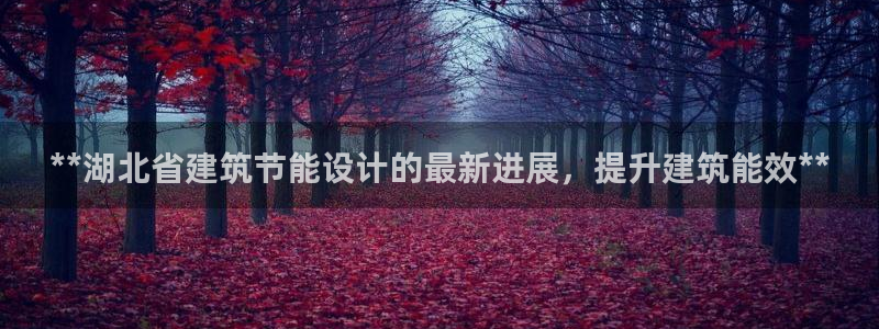 e尊国际平台：**湖北省建筑节能设计的最新进展，提升建筑能效**