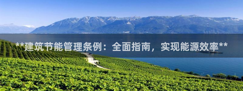 e尊国际可靠吗