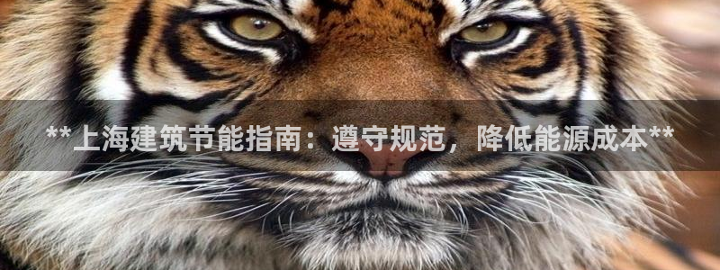 尊亿娱乐国际官网：**上海建筑节能指南：遵守规范，降低能源成本**