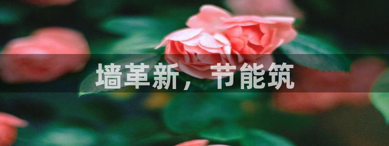 e尊平台：墙革新，节能筑
