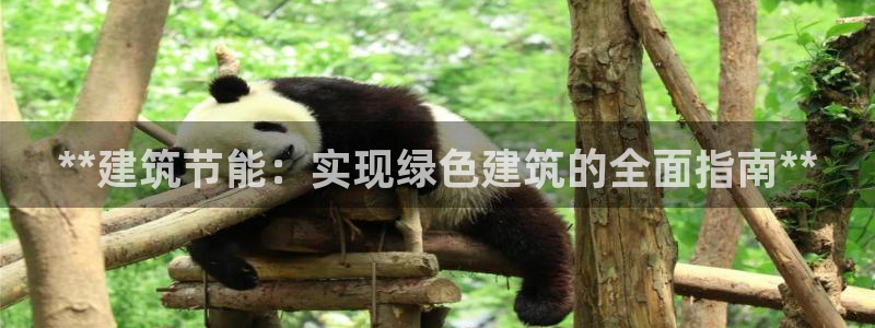 e尊国际app：**建筑节能：实现绿色建筑的全面指南**