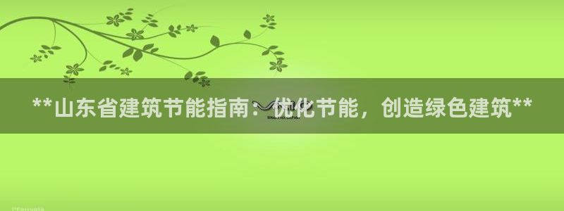 e尊国际是干什么的：**山东省建筑节能指南：优化节能，创造绿色建筑**