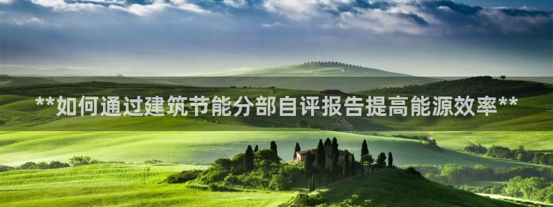 e尊国际官网：**如何通过建筑节能分部自评报告提高能源效率**