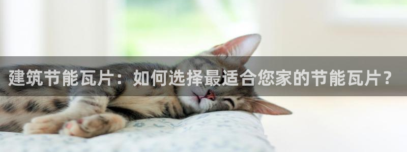 e尊国际娱乐官网下载：建筑节能瓦片：如何选择最适合您家的节能瓦片？