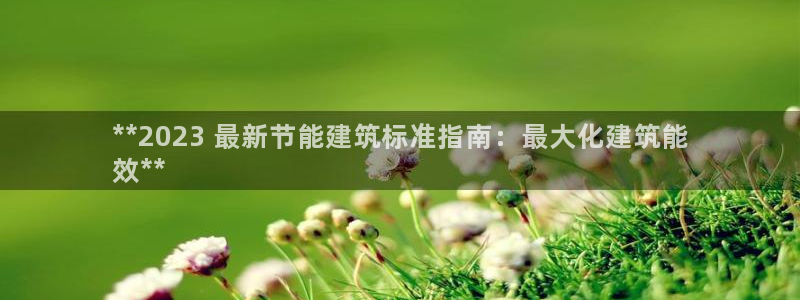 e尊国际娱乐官网下载：**2023 最新节能建筑标准指南：最大化建筑能
效**