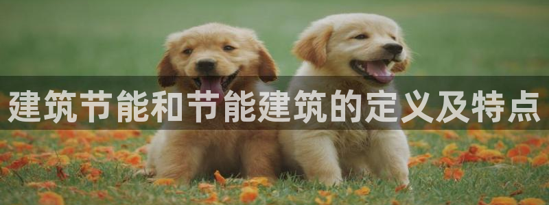 e尊国际网址：建筑节能和节能建筑的定义及特点
