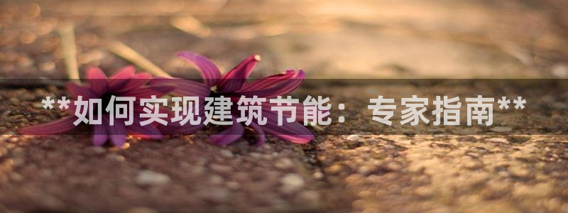 e尊电竞：**如何实现建筑节能：专家指南**