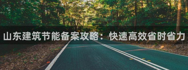 e尊国际是个黑网：山东建筑节能备案攻略：快速高效省时省力