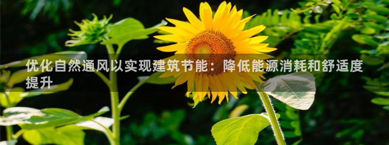 e尊国际客户端下载：优化自然通风以实现建筑节能：降低能源消耗和舒适度
提升