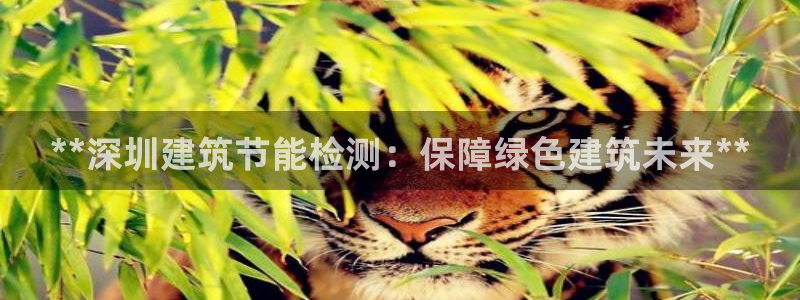 E尊国际：**深圳建筑节能检测：保障绿色建筑未来**