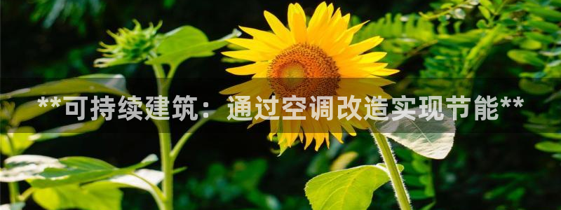 e尊国际客户端：**可持续建筑：通过空调改造实现节能**