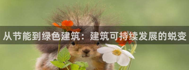 e尊国际官网·网址：从节能到绿色建筑：建筑可持续发展的蜕变