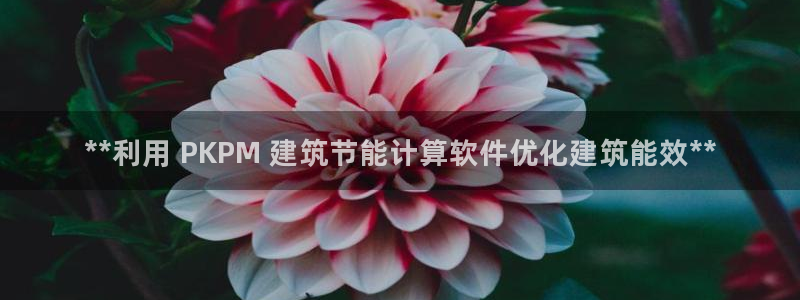 e尊国际app：**利用 PKPM 建筑节能计算软件优化建筑能效**