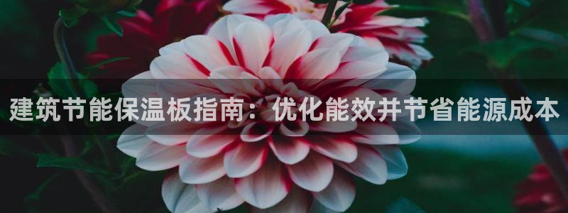 e尊国际-e尊国际官网：建筑节能保温板指南：优化能效并节省能源成本
