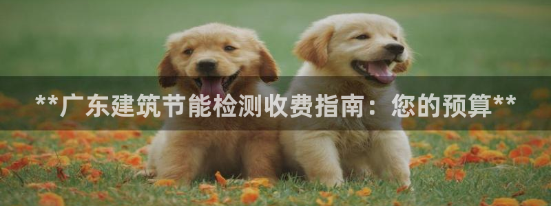 e尊国际-可可计划：**广东建筑节能检测收费指南：您的预算**