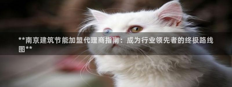 e尊国际官网：**南京建筑节能加盟代理商指南：成为行业领先者的终极路线
图**