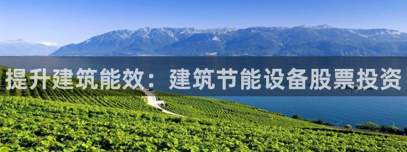 谁知道e尊国际的网址：提升建筑能效：建筑节能设备股票投资