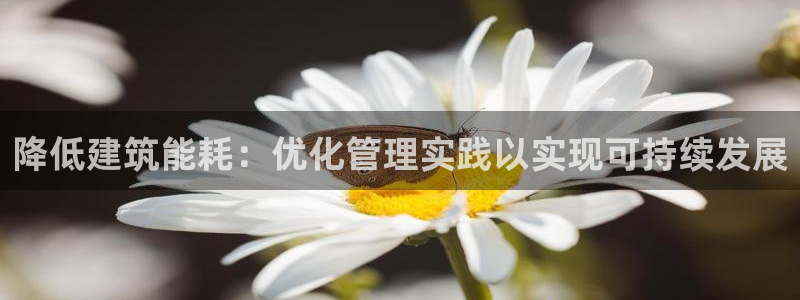 e尊国际客服：降低建筑能耗：优化管理实践以实现可持续发展