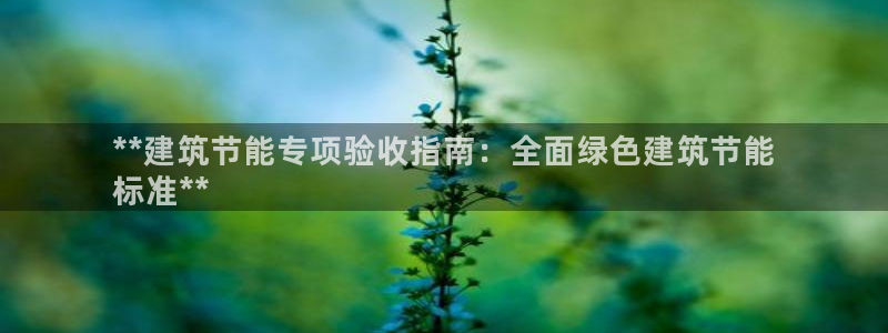 e尊国际娱乐官网地址：**建筑节能专项验收指南：全面绿色建筑节能
标准**