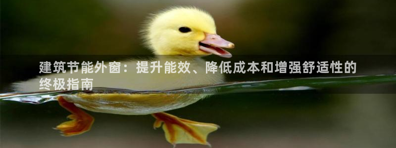 e尊国际网址