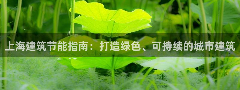 e尊国际娱乐官网地址：上海建筑节能指南：打造绿色、可持续的城市建筑