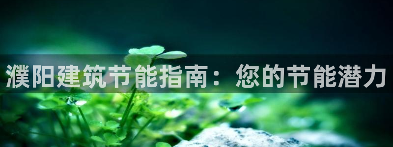 e尊国际客户端下载：濮阳建筑节能指南：您的节能潜力