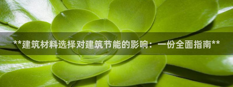 e尊国际平台