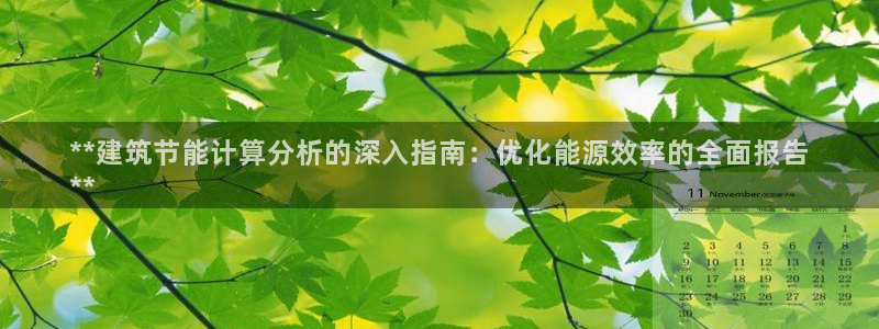 e尊国际是干什么的：**建筑节能计算分析的深入指南：优化能源效率的全面报告
**