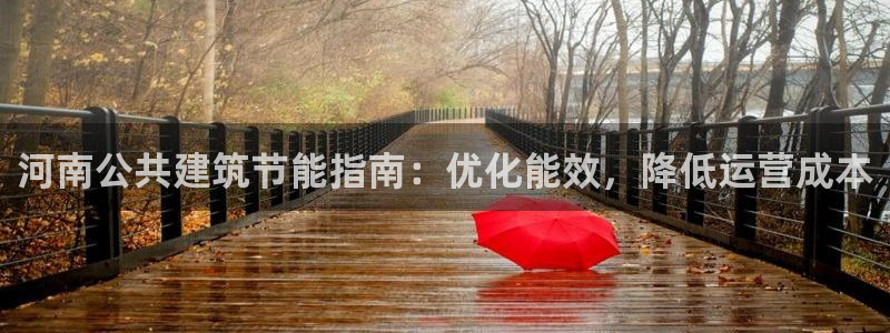 e尊国际是干什么的：河南公共建筑节能指南：优化能效，降低运营成本