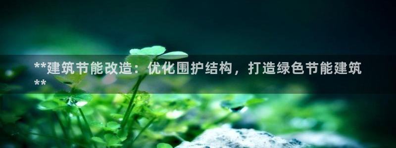 e尊国际app：**建筑节能改造：优化围护结构，打造绿色节能建筑
**