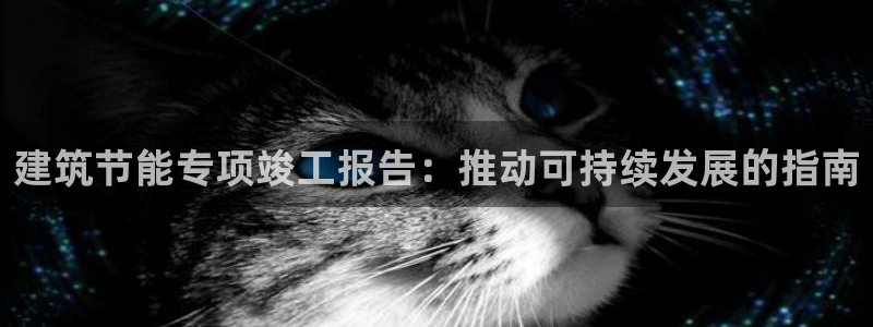 e尊国际官网·网址：建筑节能专项竣工报告：推动可持续发展的指南