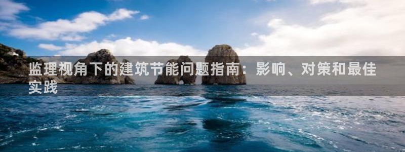 e尊国际-可可计划：监理视角下的建筑节能问题指南：影响、对策和最佳
实践